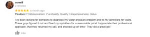 google review