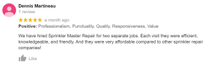 google review